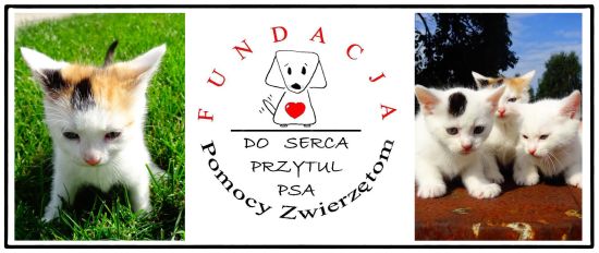 Myszków: Nacjonaliści dla zwierząt