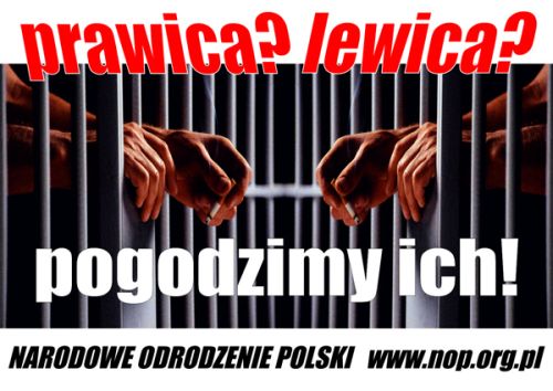Marcin Radzewicz: Rewolucyjny nacjonalizm a parlamentaryzm