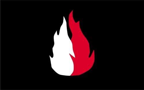 Narodowe Odrodzenie Polski w aplikacji Telegram